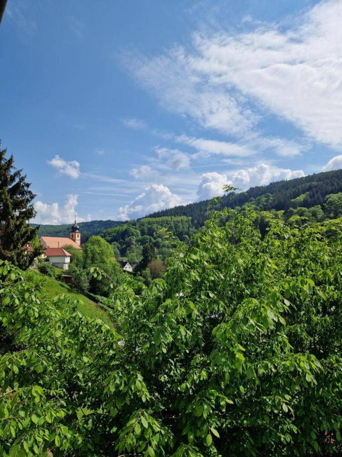 Ferienhaus Heinz Heiligkreuzsteinach Екстериор снимка